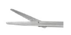 202203050844563186291