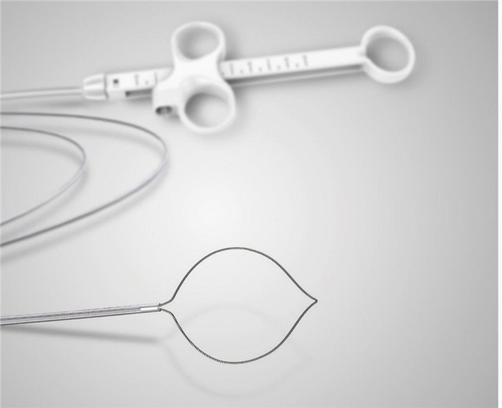 Einnota Polypectomy Snare
