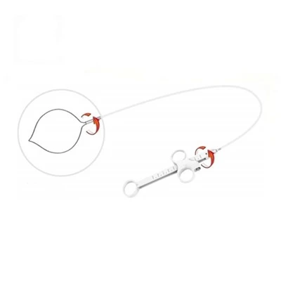 Einnota Polypectomy Snare